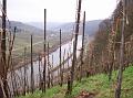 014-fpa-2008-Reil Mosel 2